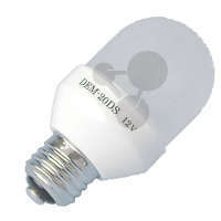 LED-Birne 12 V /2,5 W