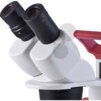 Stereomikroskope (Okulare)
