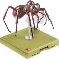 Modèle de fourmi entièrement