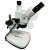 Trinokular Zoom-Stereomikroskop Halogen 10x-40x 1