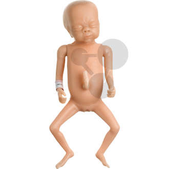 Frühgeborenenbaby  weiblich SOMSO®-Modell