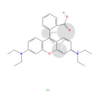 Rhodamin B 5 g