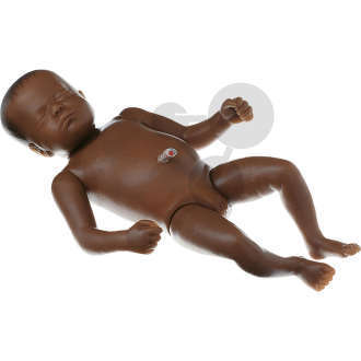 Neugeborenenbaby  weiblich SOMSO®-Modell