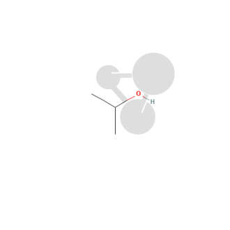 2 - Propanol (alcool isopropylique/IPA) 1 L