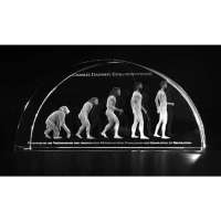 Darwin's Evolutionstheorie - 3D-Modell in Glas