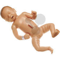 Neugeborenenbaby  weiblich SOMSO®-Modell