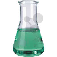 Erlenmeyerkolben Borosilikatglas NS29/32 250 ml