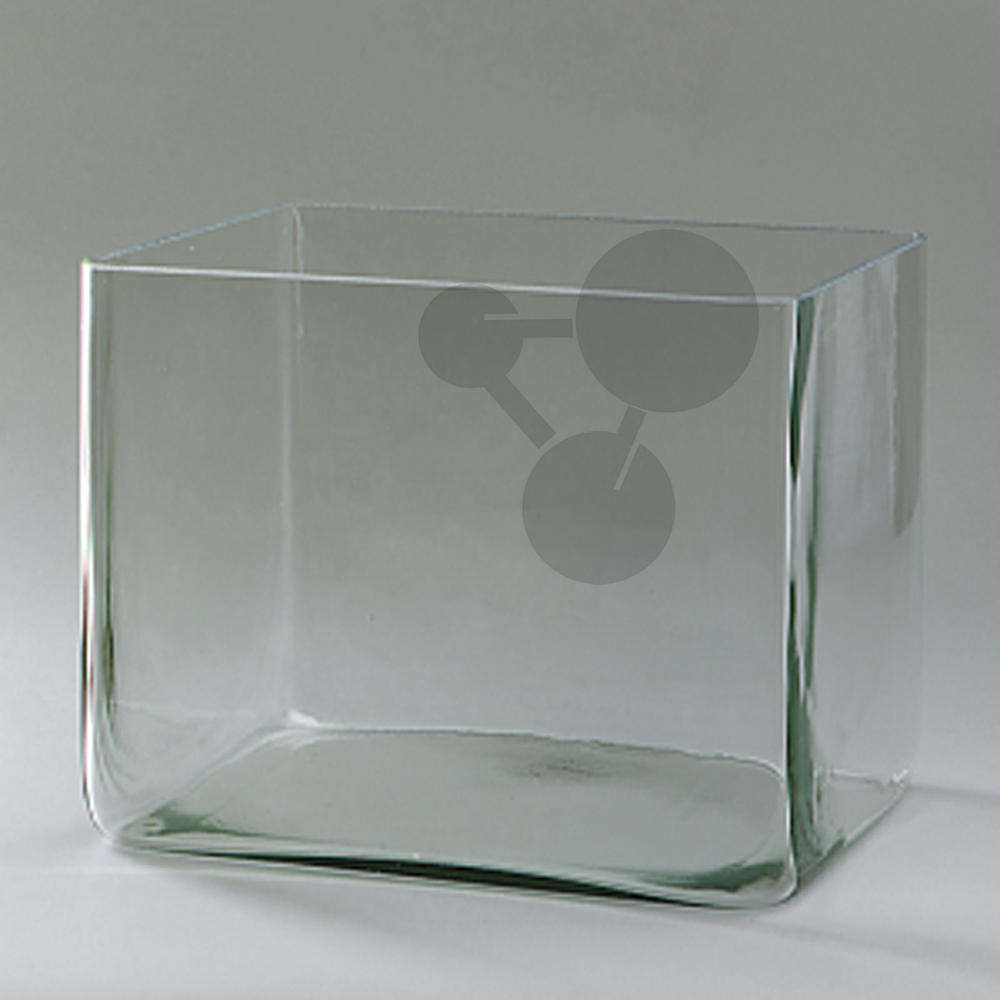 Cuve en verre 15x10x30cm