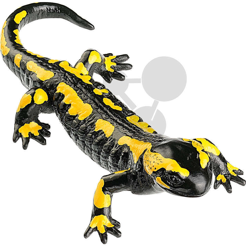 Lebensechte Tierplastiken SOMSO - Salamander Molche