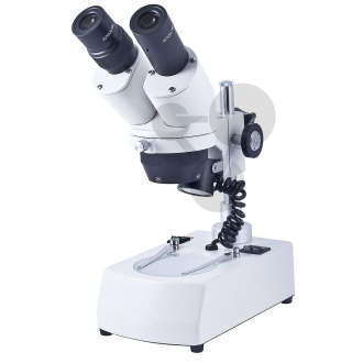 Binokular Stereomikroskop Stereolupe Vergrößerung 20x 40x mit LED Lampe 