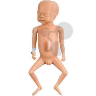 Frühgeborenenbaby  männlich SOMSO®-Modell