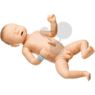 Neugeborenenbaby  männlich SOMSO®-Modell