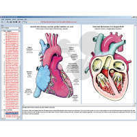 CD-ROM Herz Kreislauf & Atmung des Menschen