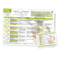 Informationstafel "Vitamin Kompass"
