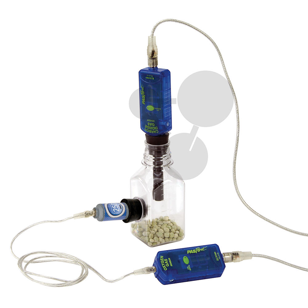 Smart O2 Gas-Sensor / Sensoren: Biologie / Digitales Experimentieren